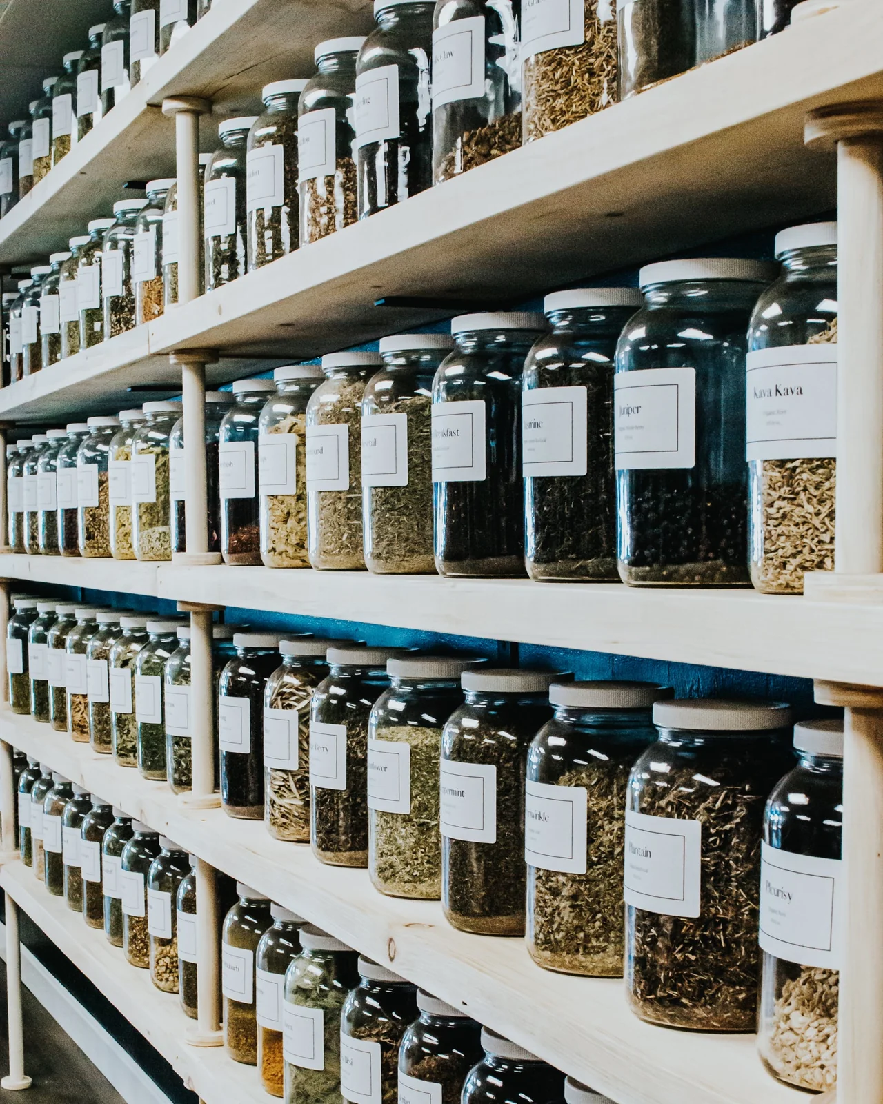 Bulk herb jars at Thyme Herbal Apothecary