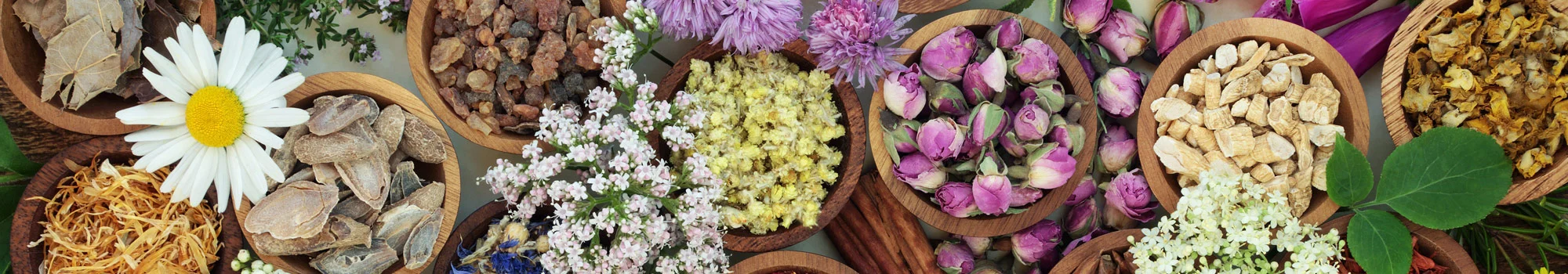 Botanical ingredients featured by Vibrance Ayurveda