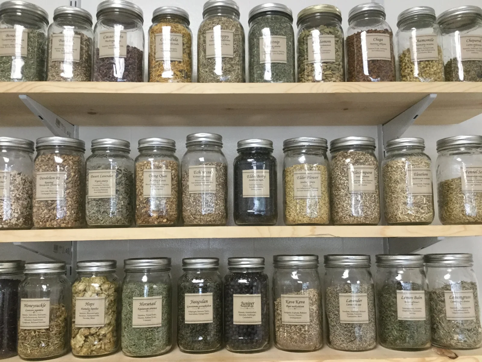 Green Wisdom Herbal Studies shop