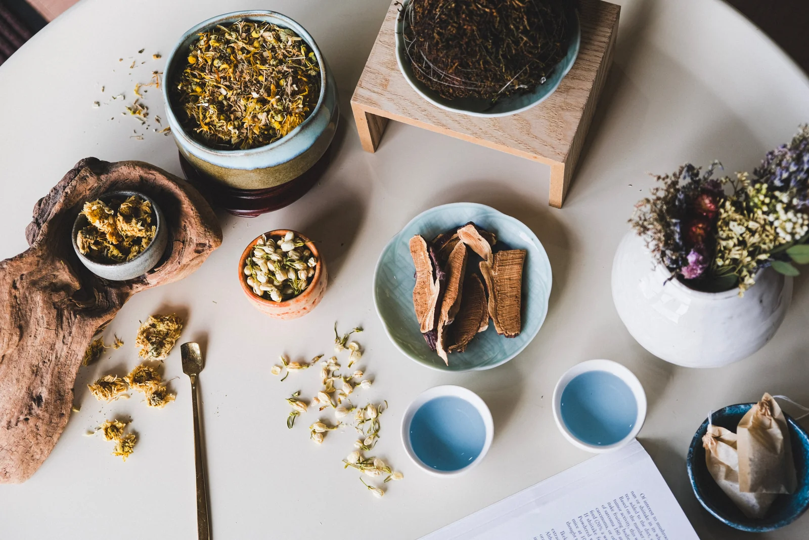The Herbal Ritual Apothecary shop interior