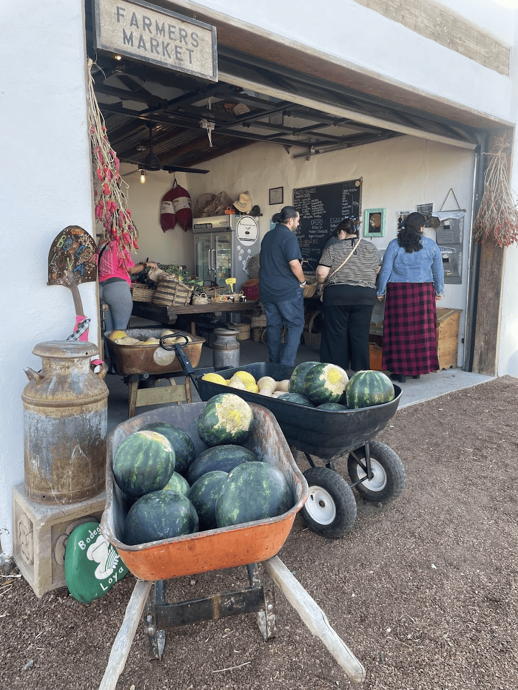 Bodega Loya